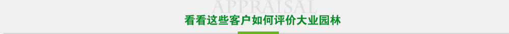 看看这些客户如何评价AG旗舰厅(AGting.vip)平台